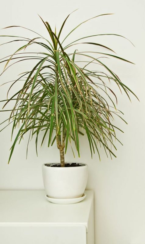 NỘI THẤT THÁI MINH THÀNH